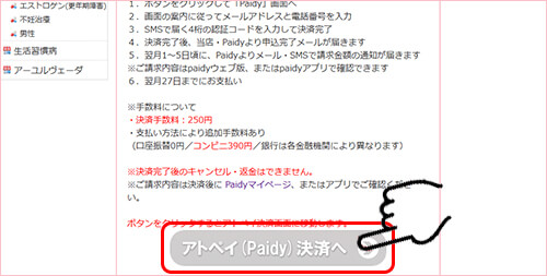 アトペイ(Paidy)決済の様子