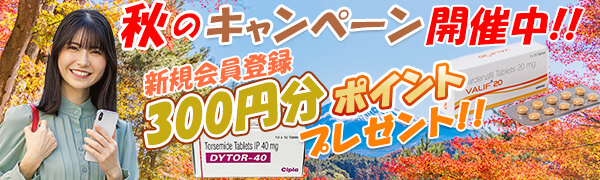 2026年秋のバナー！新規300円分のポイント貰える！